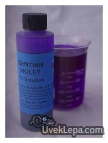 Gentiana violet solucija